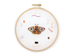 Embroidery Stitch Sampler - Moth