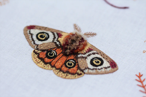 Embroidery Stitch Sampler - Moth