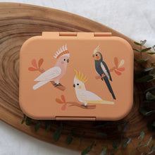 Load image into Gallery viewer, ECO BENTO LUNCHBOX PEACH NATIVE BIRDS
